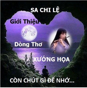 Sa Chi Le Dien Ngam3